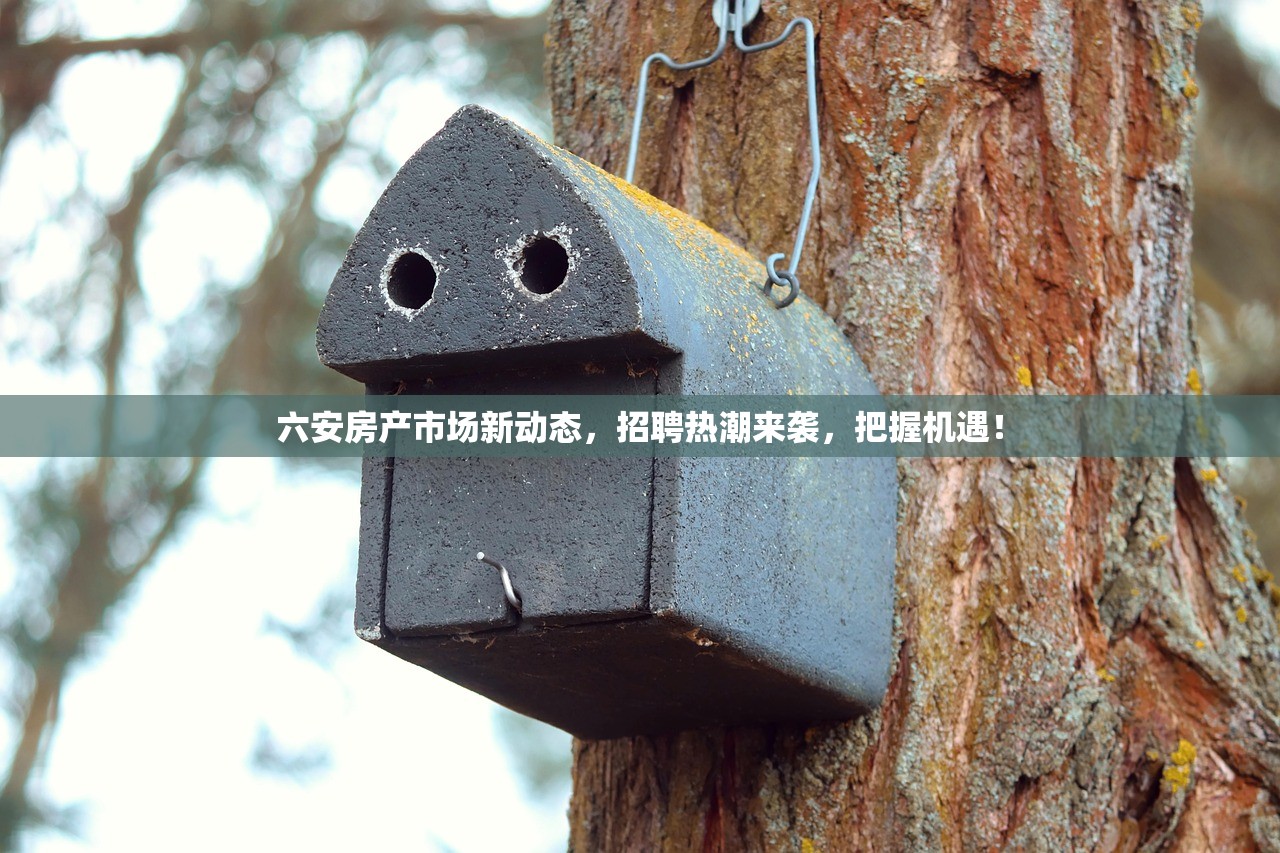 六安房产市场新动态，招聘热潮来袭，把握机遇！