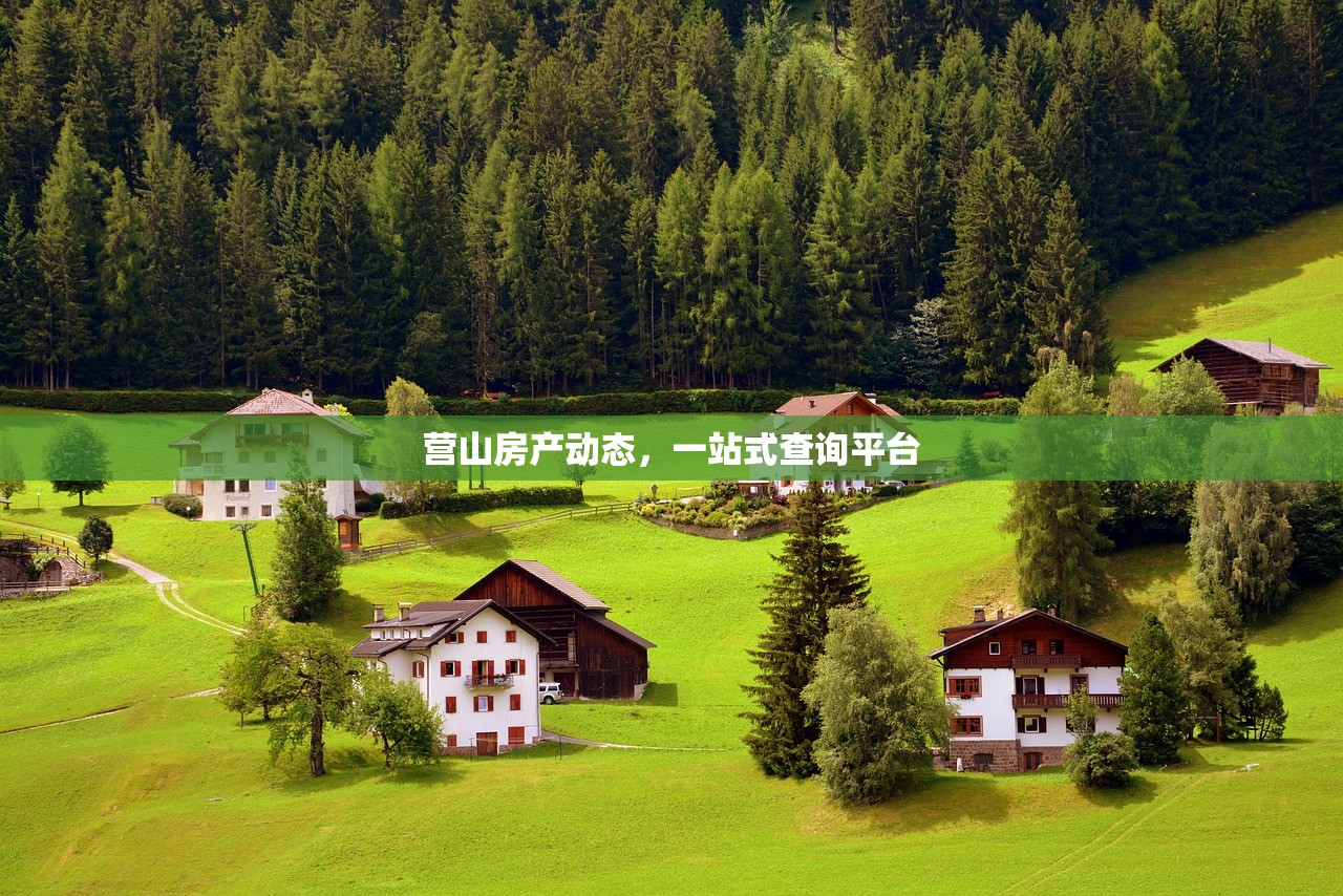 营山房产动态，一站式查询平台