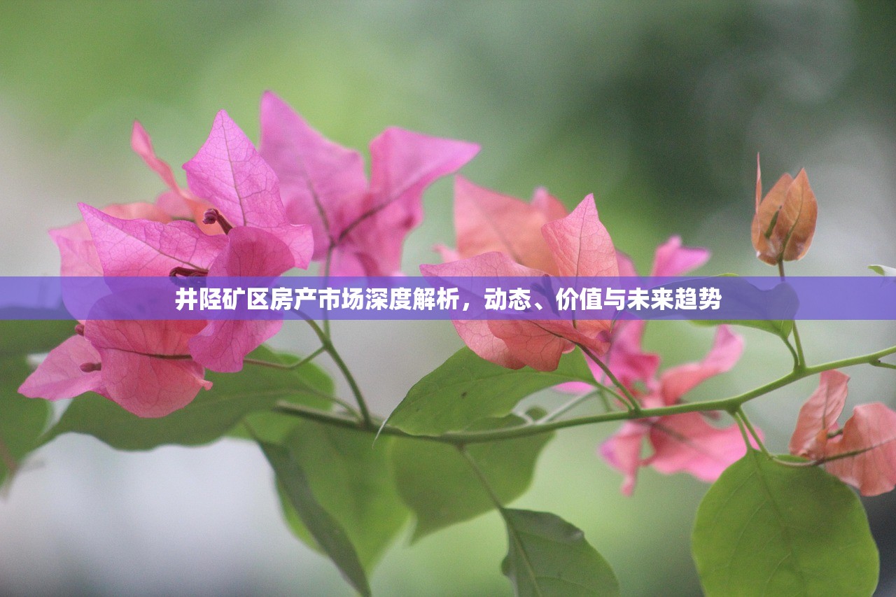 房产信息 第361页