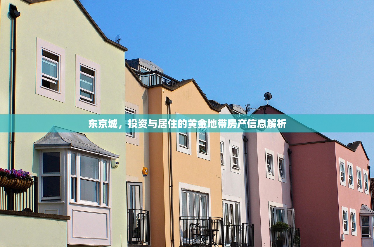 东京城，投资与居住的黄金地带房产信息解析