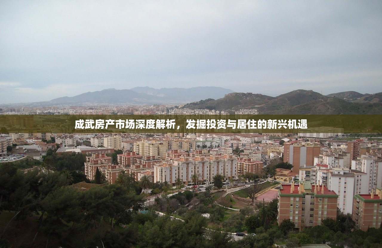 安顺双阳房产商铺，把握商业机遇，共创繁荣未来