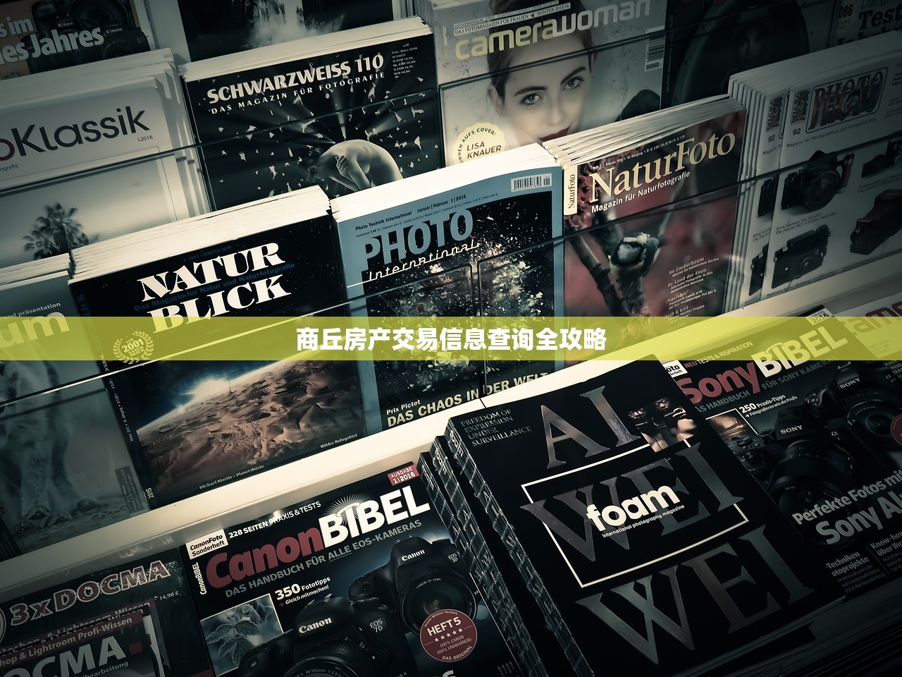 商丘房产交易信息查询全攻略