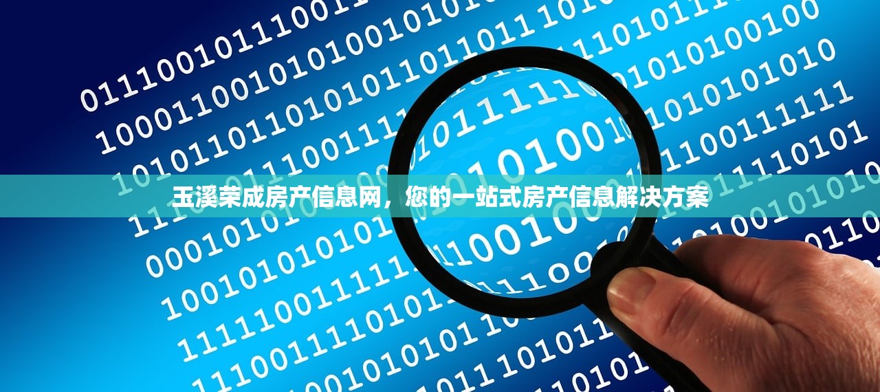 贡安怡 第5页