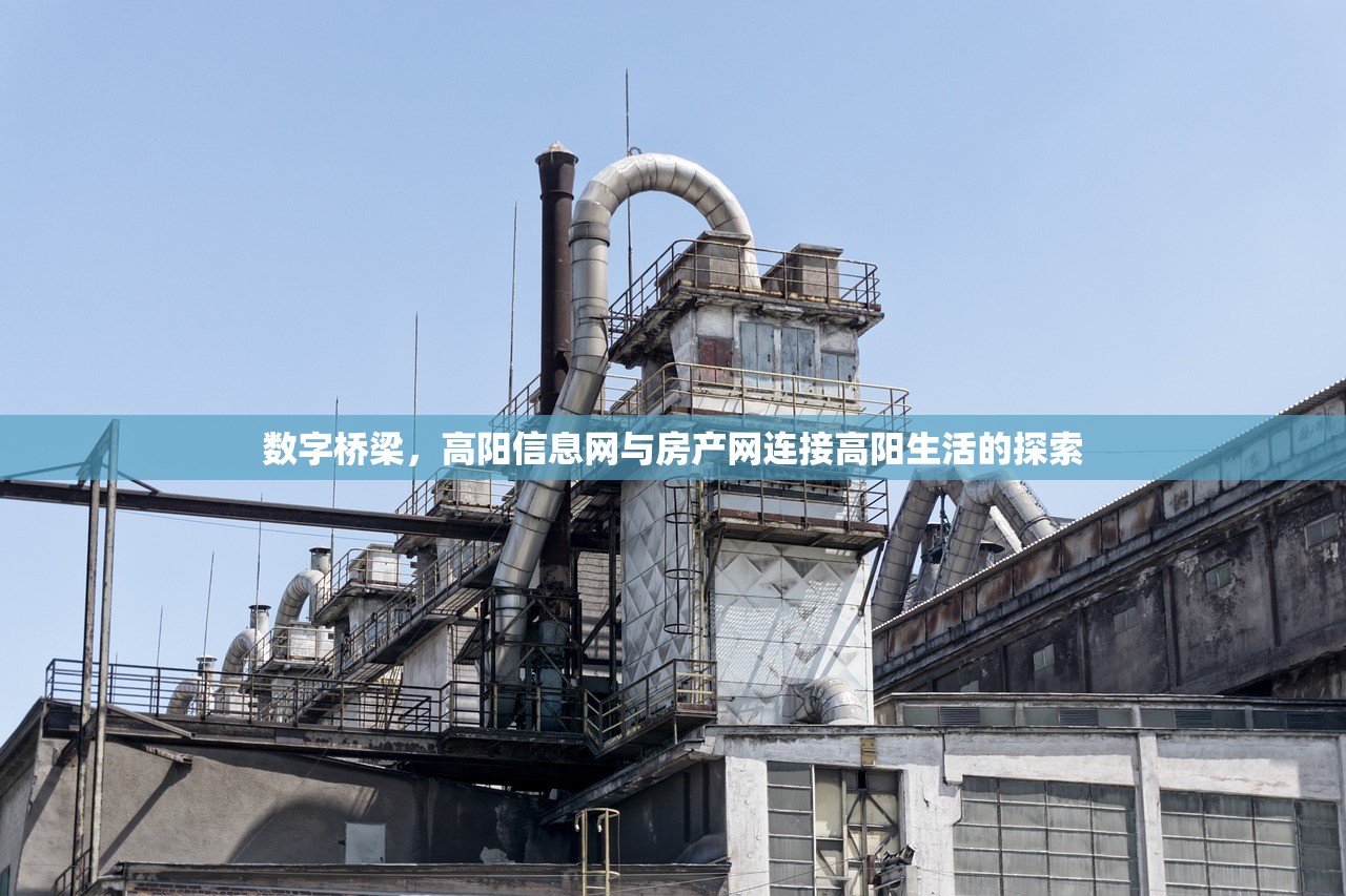 数字桥梁，高阳信息网与房产网连接高阳生活的探索