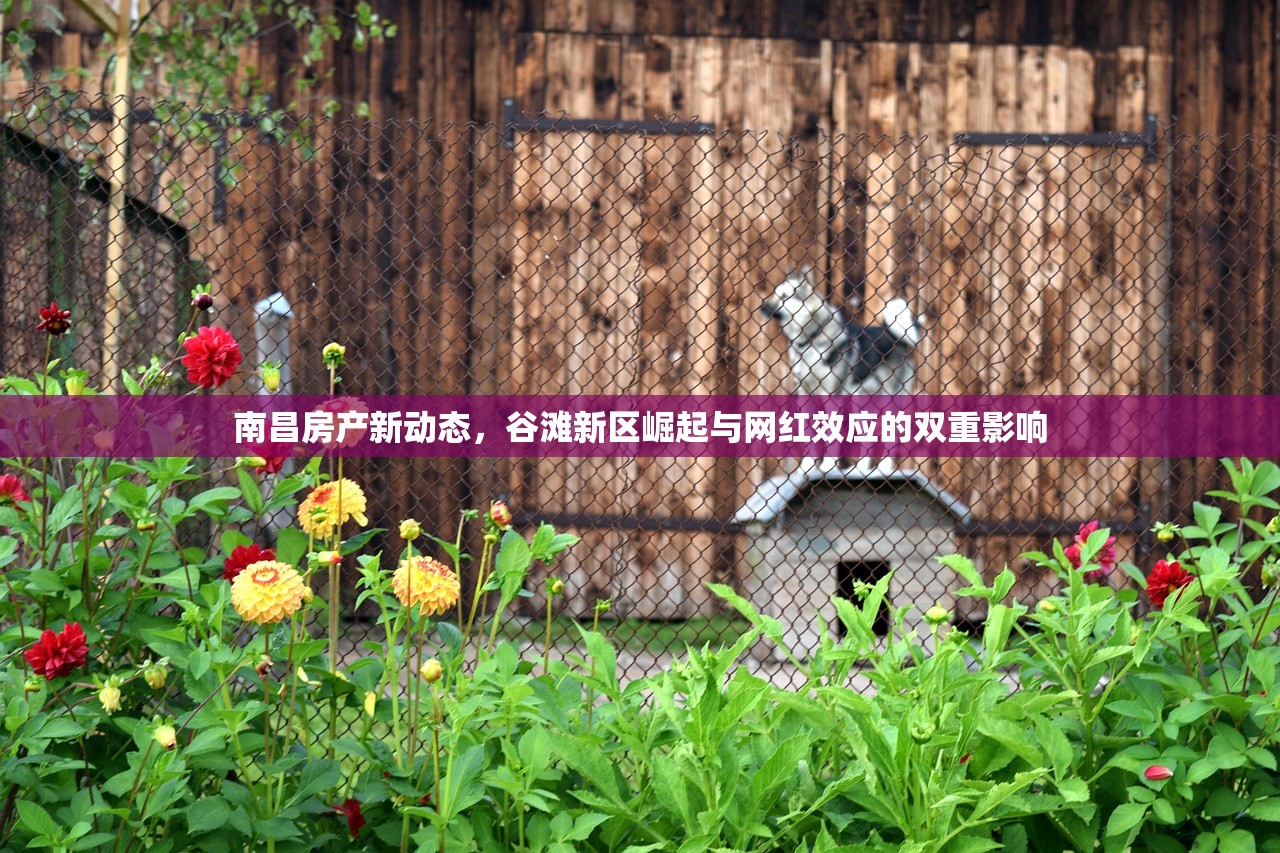 南昌房产新动态，谷滩新区崛起与网红效应的双重影响
