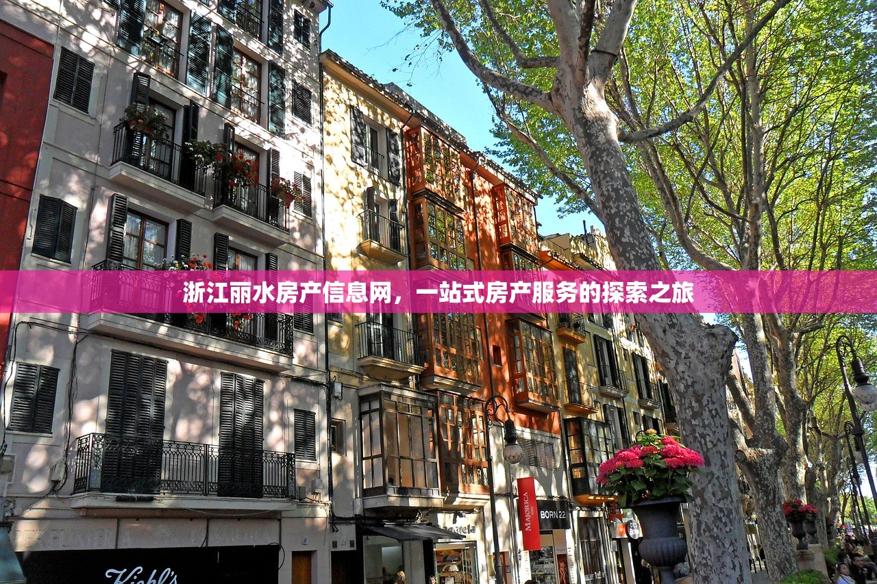 孔天空 第3页