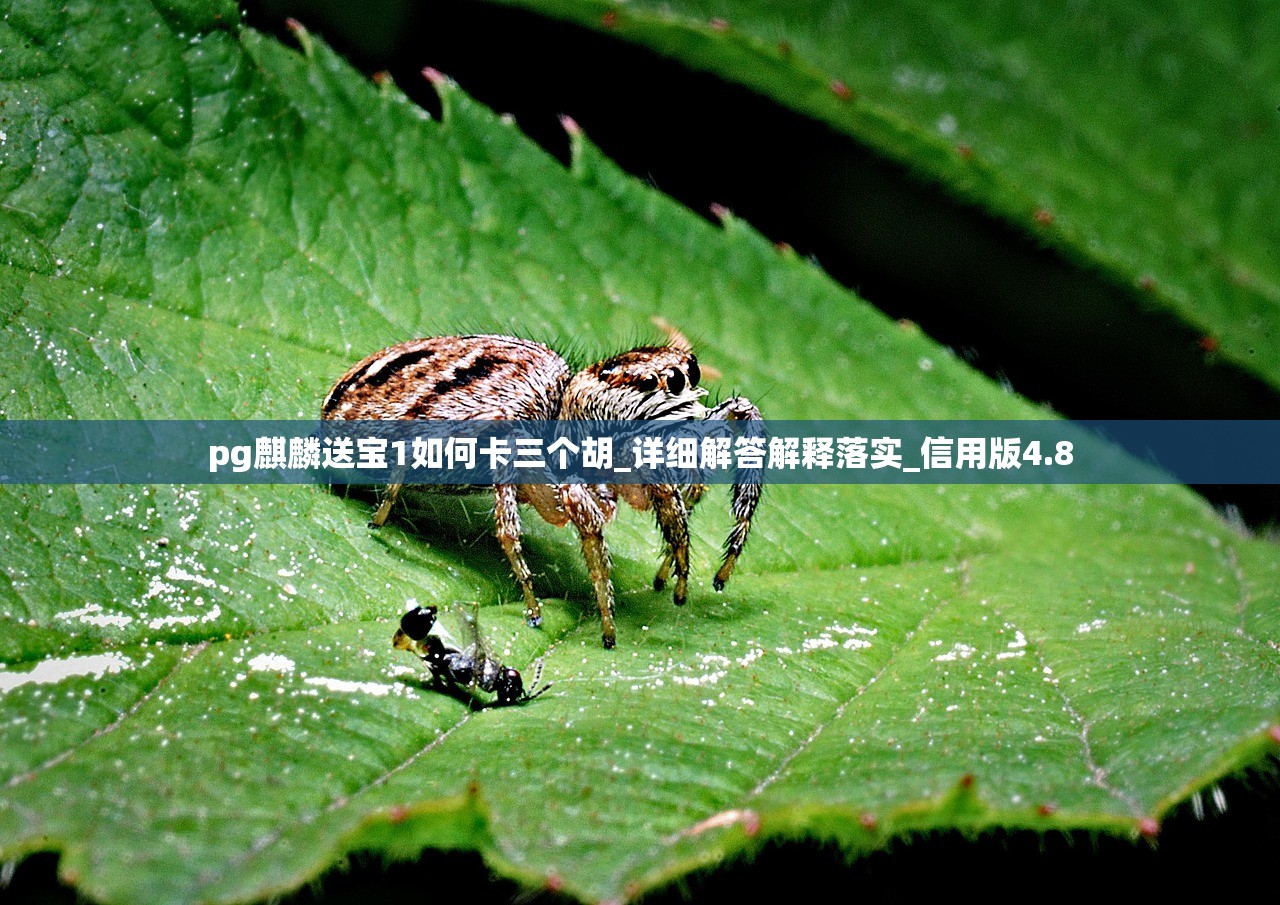 pg麒麟送宝1如何卡三个胡_详细解答解释落实_信用版4.8