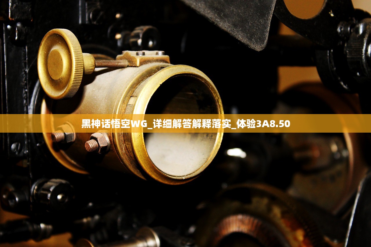 黑神话悟空WG_详细解答解释落实_体验3A8.50