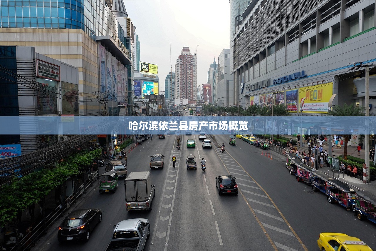 哈尔滨依兰县房产市场概览