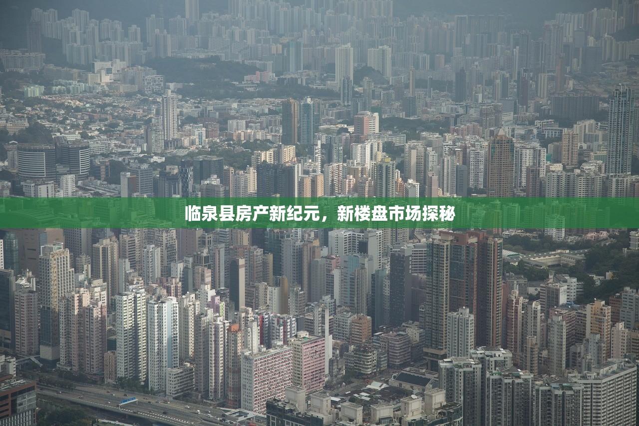 临泉县房产新纪元，新楼盘市场探秘