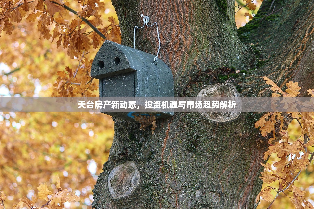 商铺产权缺失，暂住证明策略与实践指南
