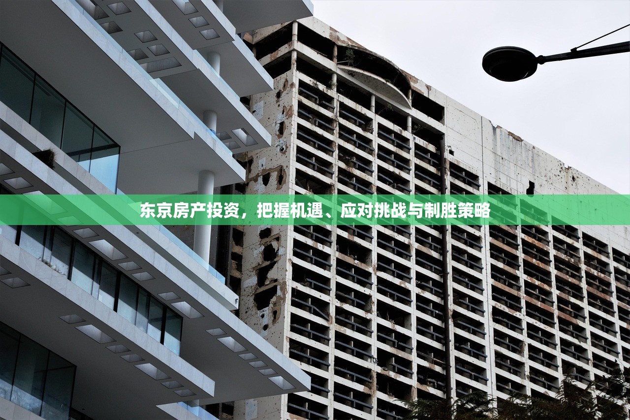 东京房产投资，把握机遇、应对挑战与制胜策略