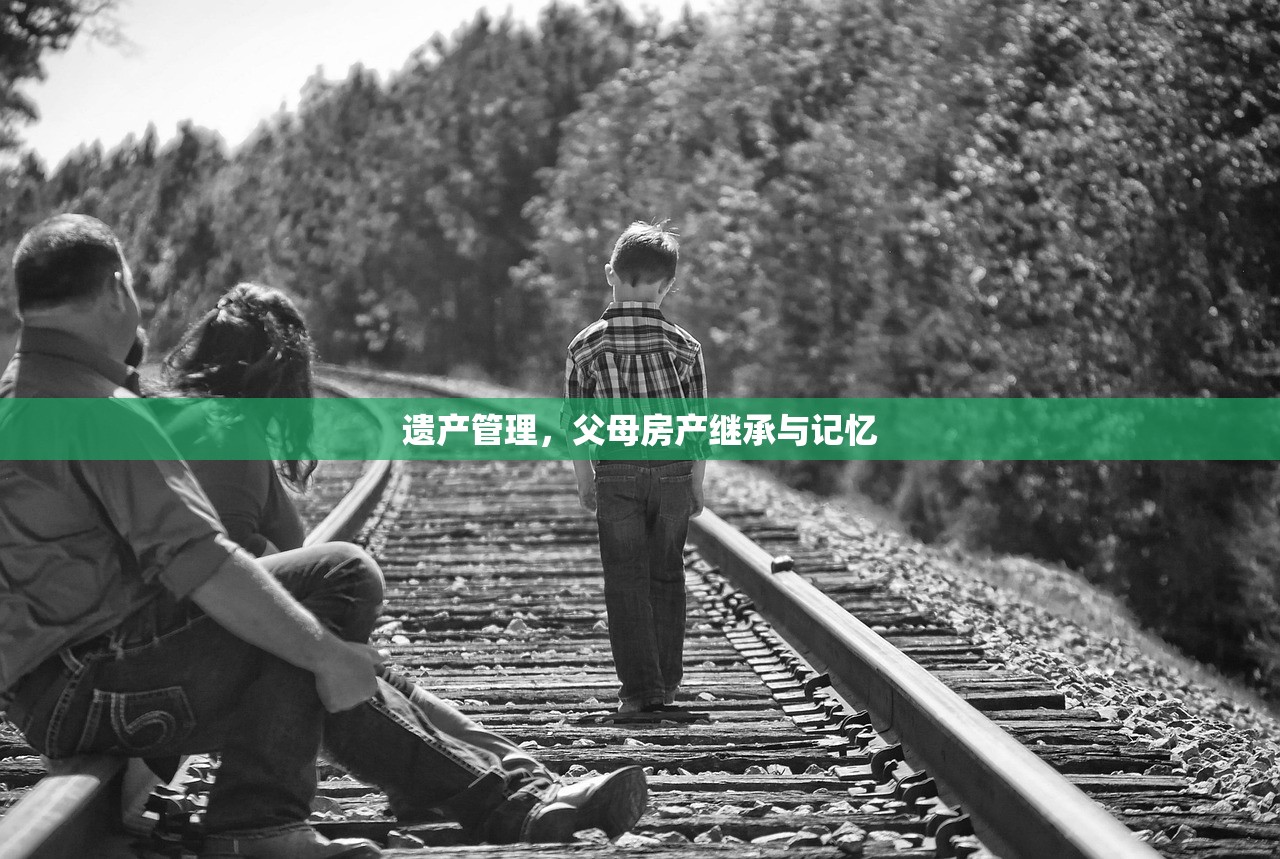 遗产管理，父母房产继承与记忆