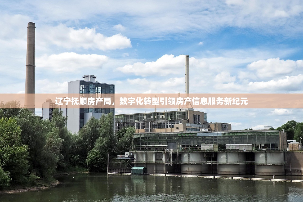 辽宁抚顺房产局，数字化转型引领房产信息服务新纪元