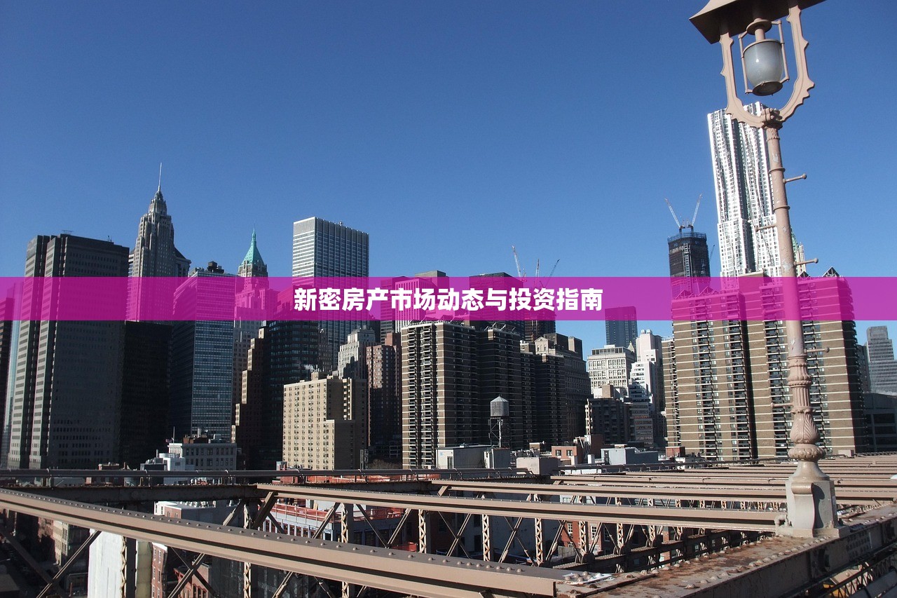 新密房产市场动态与投资指南