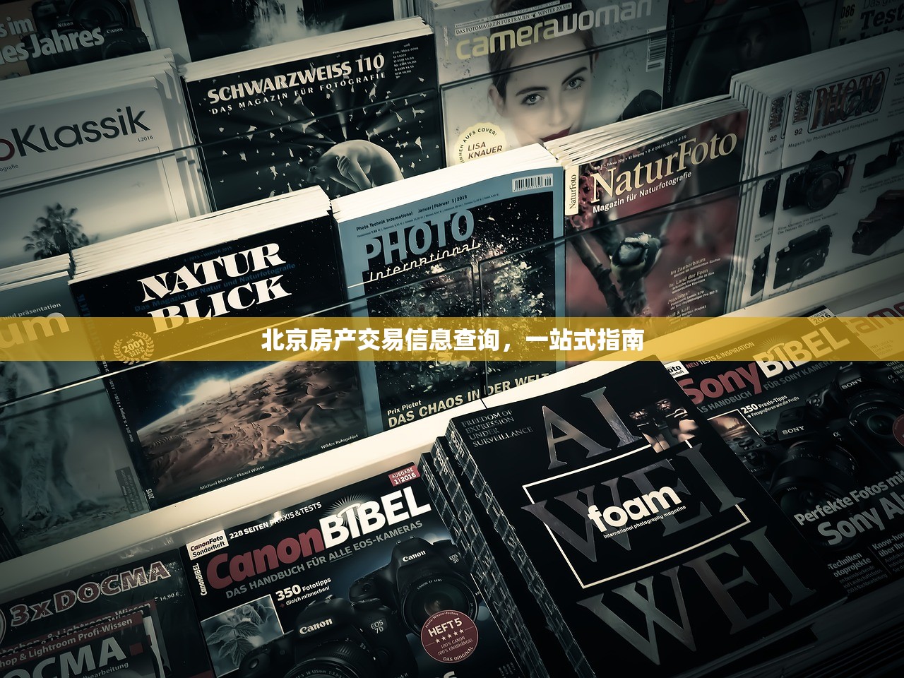 金睿诚 第3页
