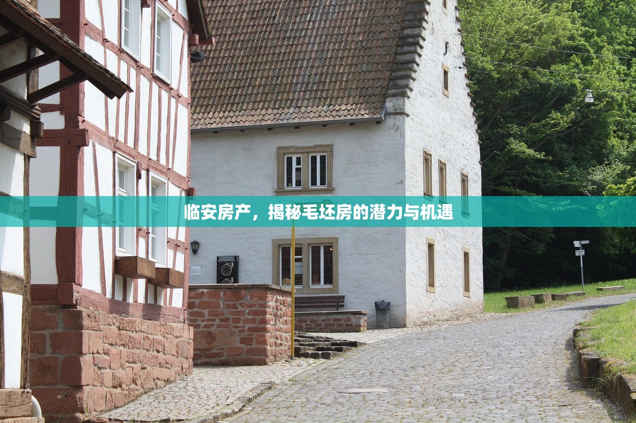 临安房产，揭秘毛坯房的潜力与机遇