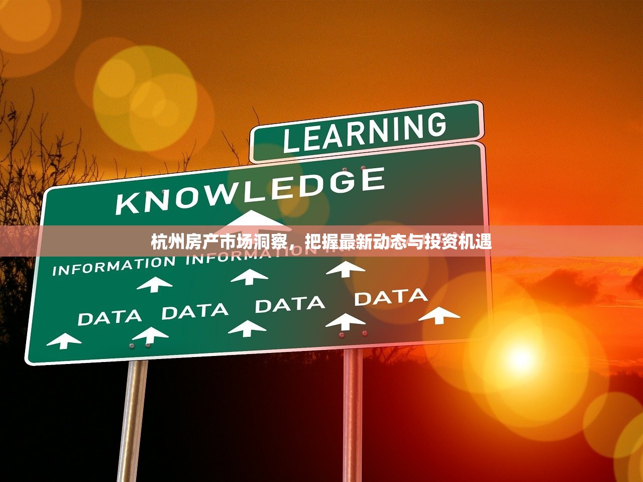 杭州房产市场洞察，把握最新动态与投资机遇