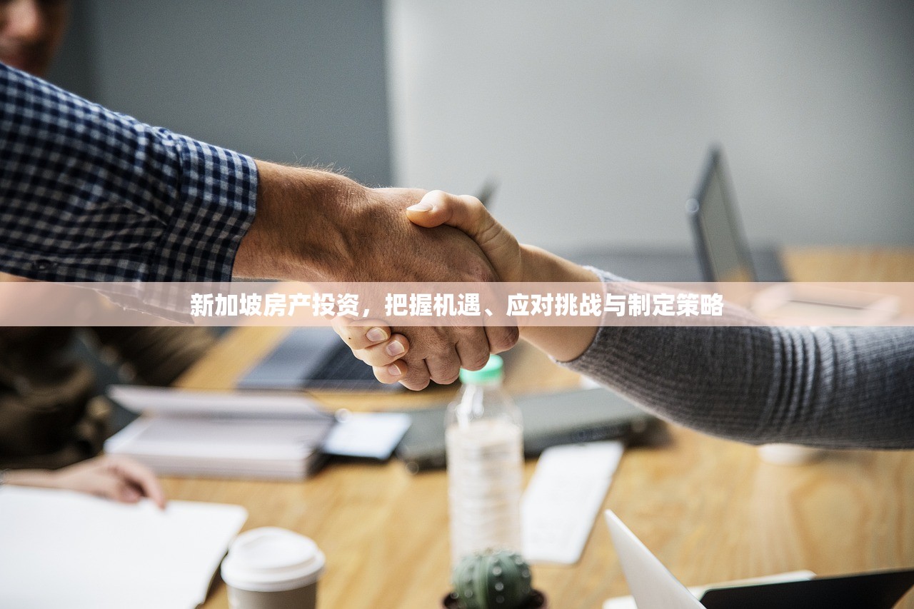 新加坡房产投资，把握机遇、应对挑战与制定策略