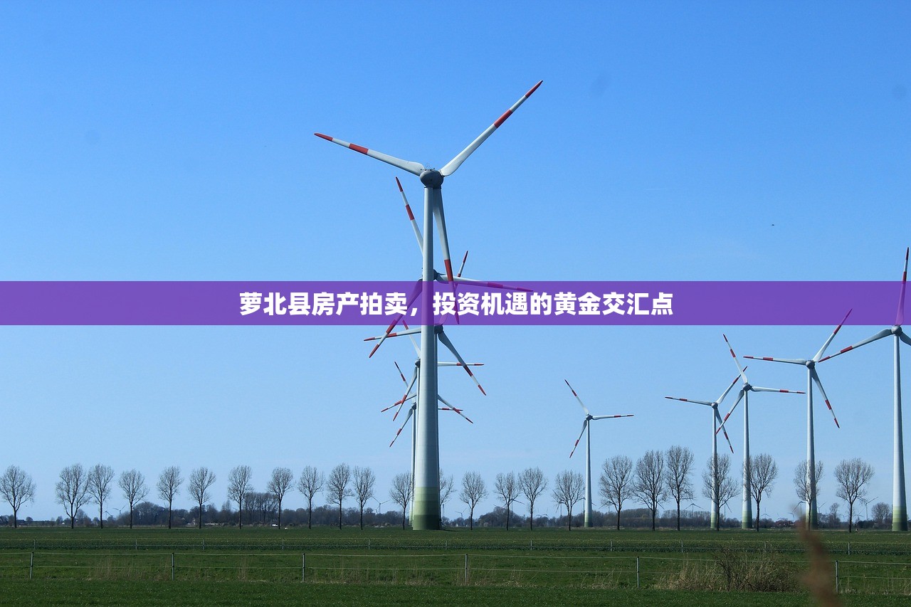 廖恺乐 第2页