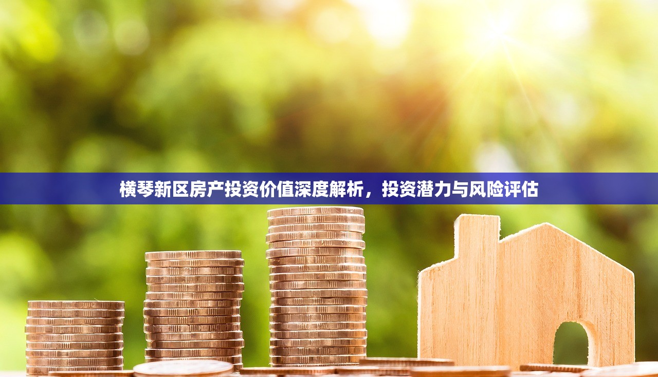 横琴新区房产投资价值深度解析，投资潜力与风险评估