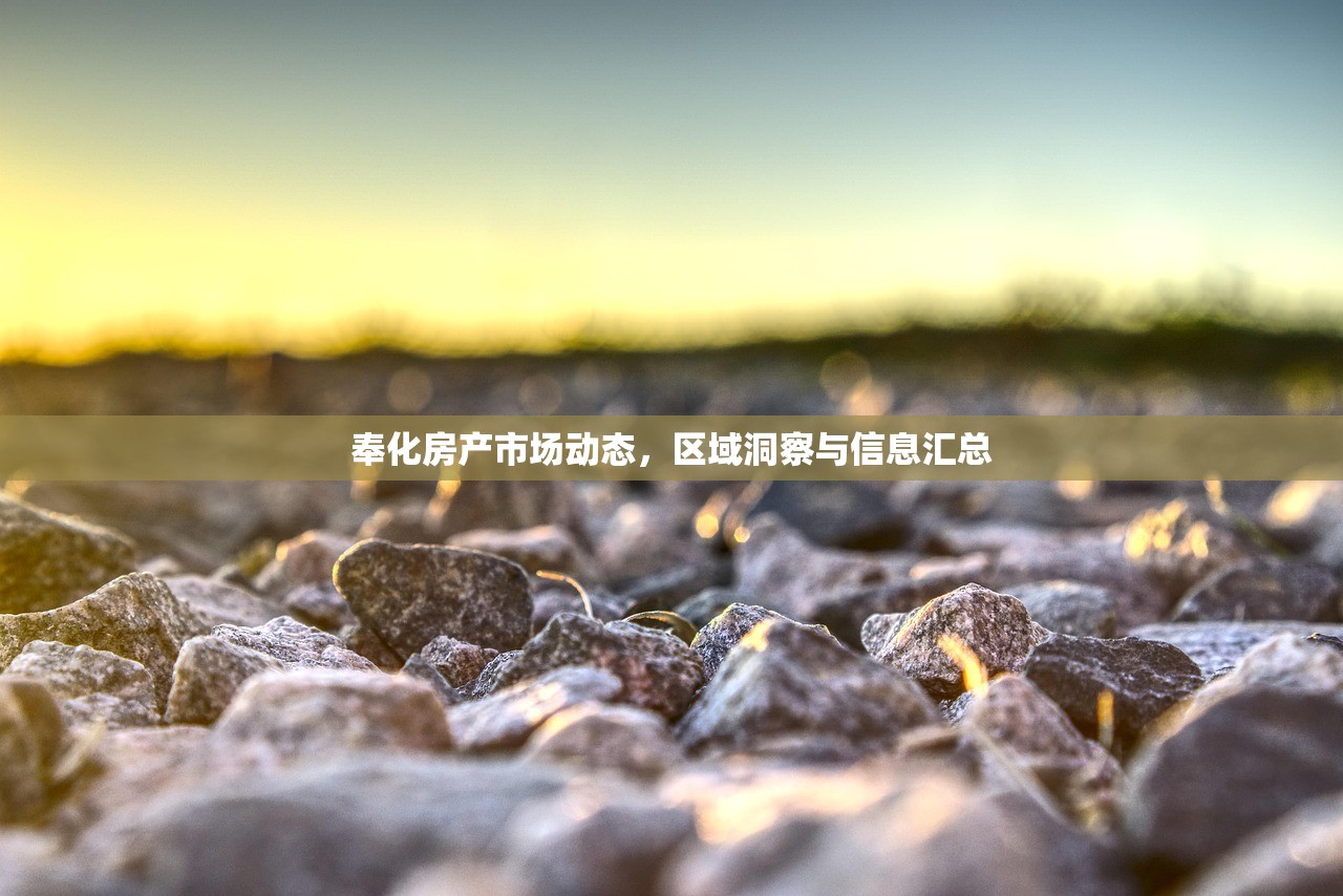 闻景同 第2页