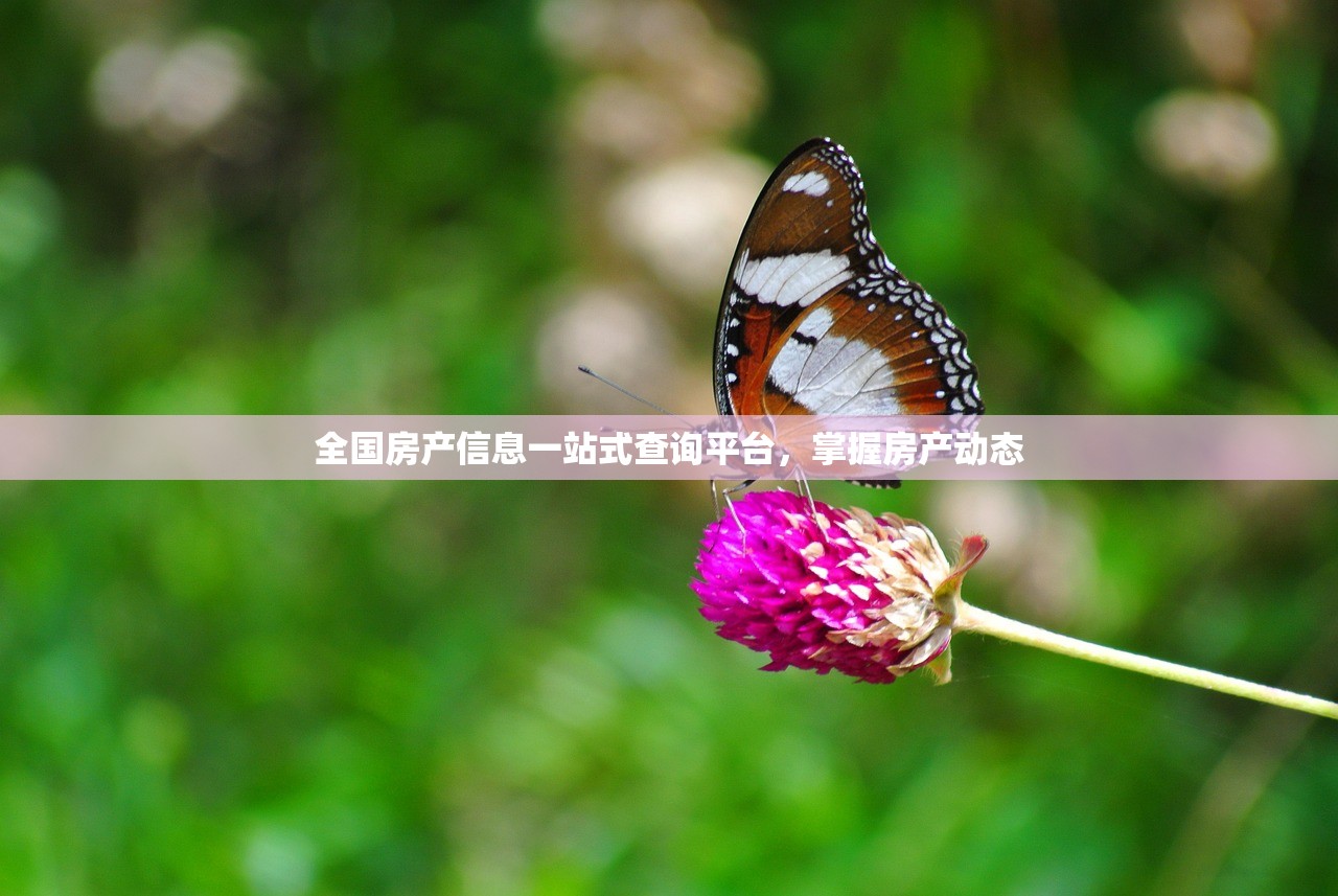 全国房产信息一站式查询平台，掌握房产动态