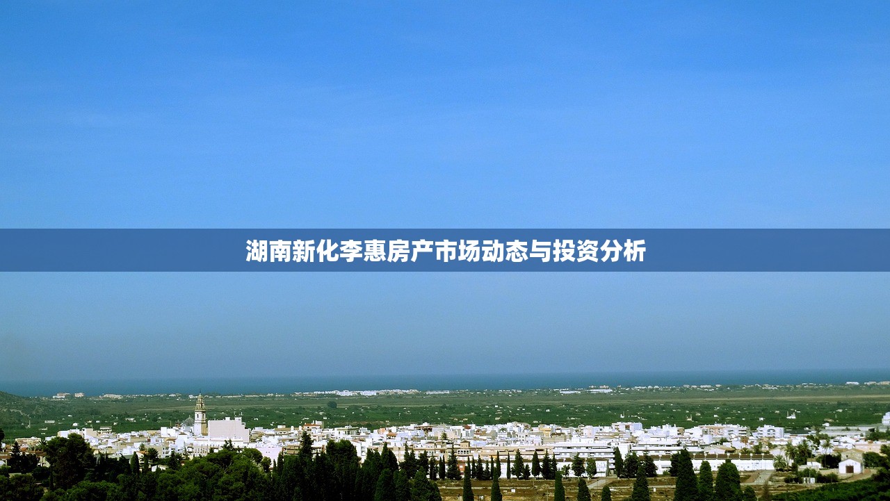 湖南新化李惠房产市场动态与投资分析