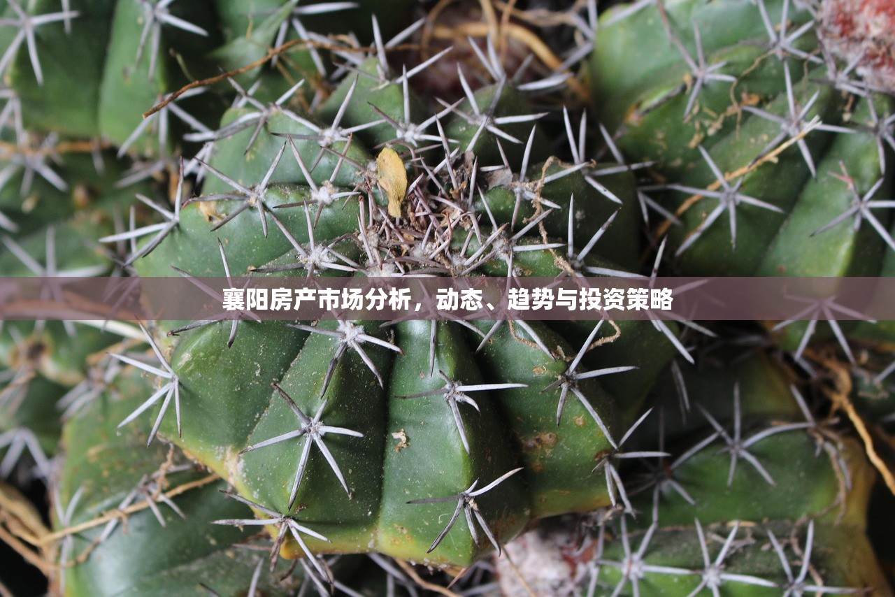 襄阳房产市场分析，动态、趋势与投资策略