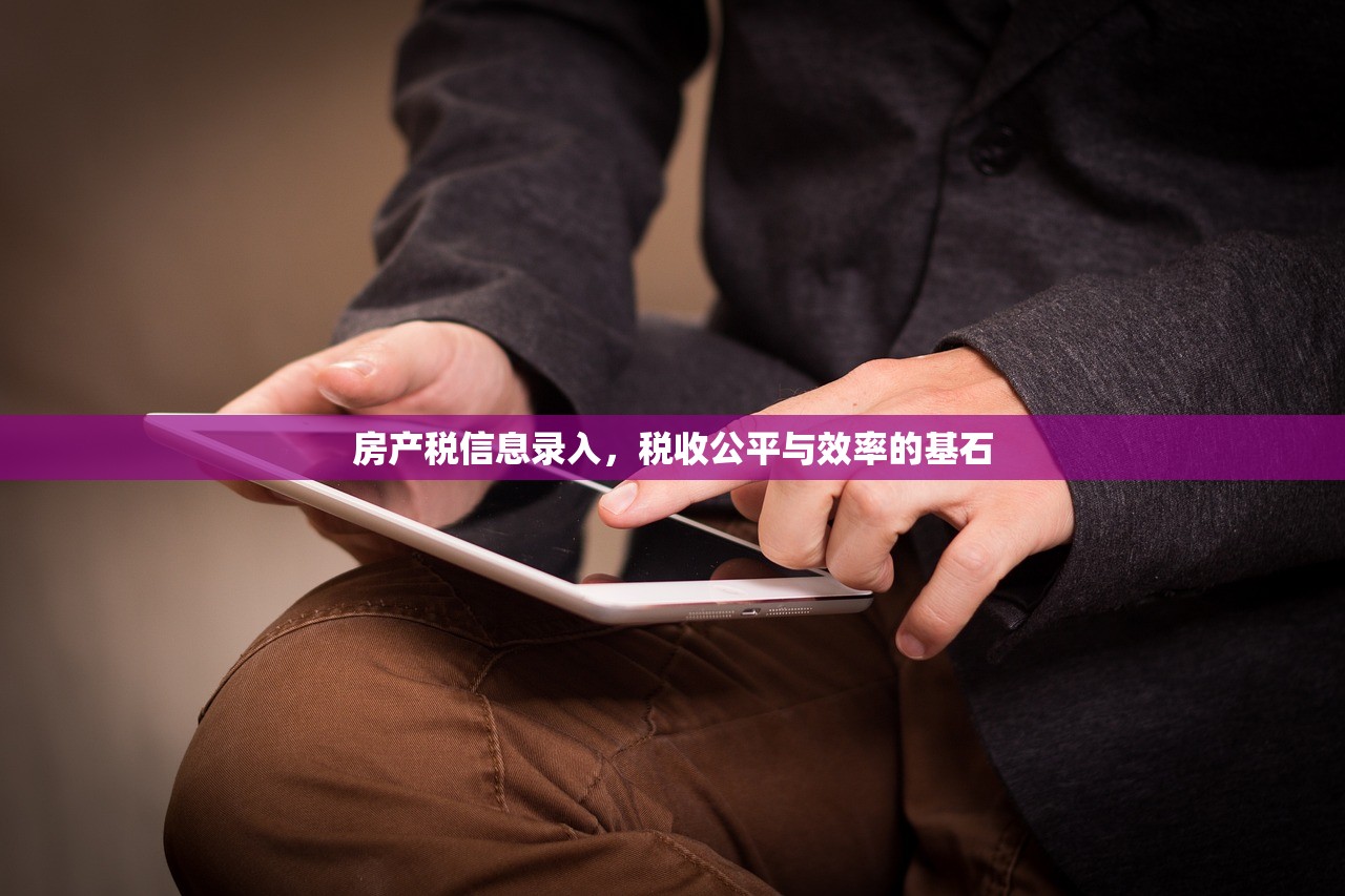 房产税信息录入，税收公平与效率的基石