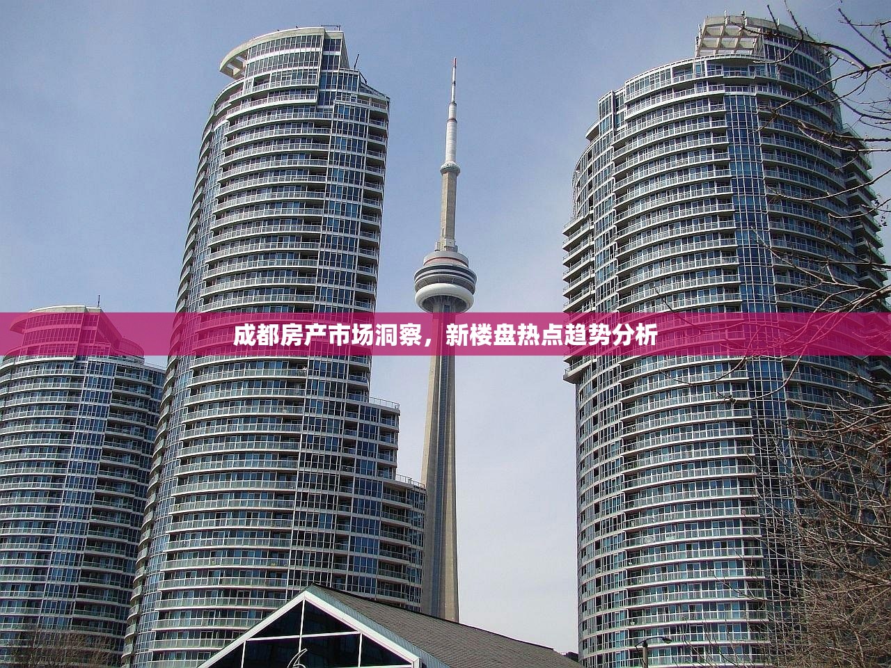 成都房产市场洞察，新楼盘热点趋势分析