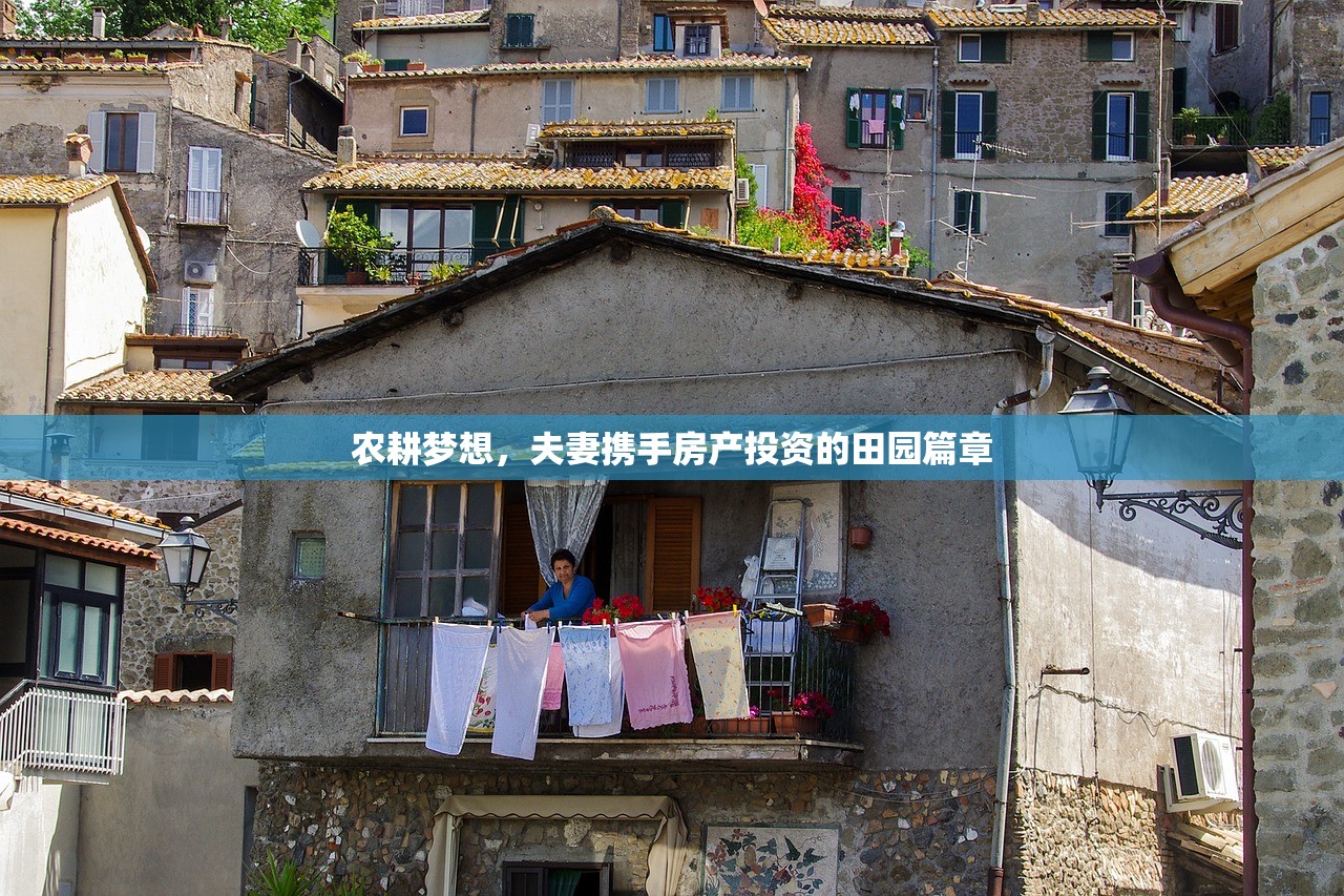 农耕梦想，夫妻携手房产投资的田园篇章