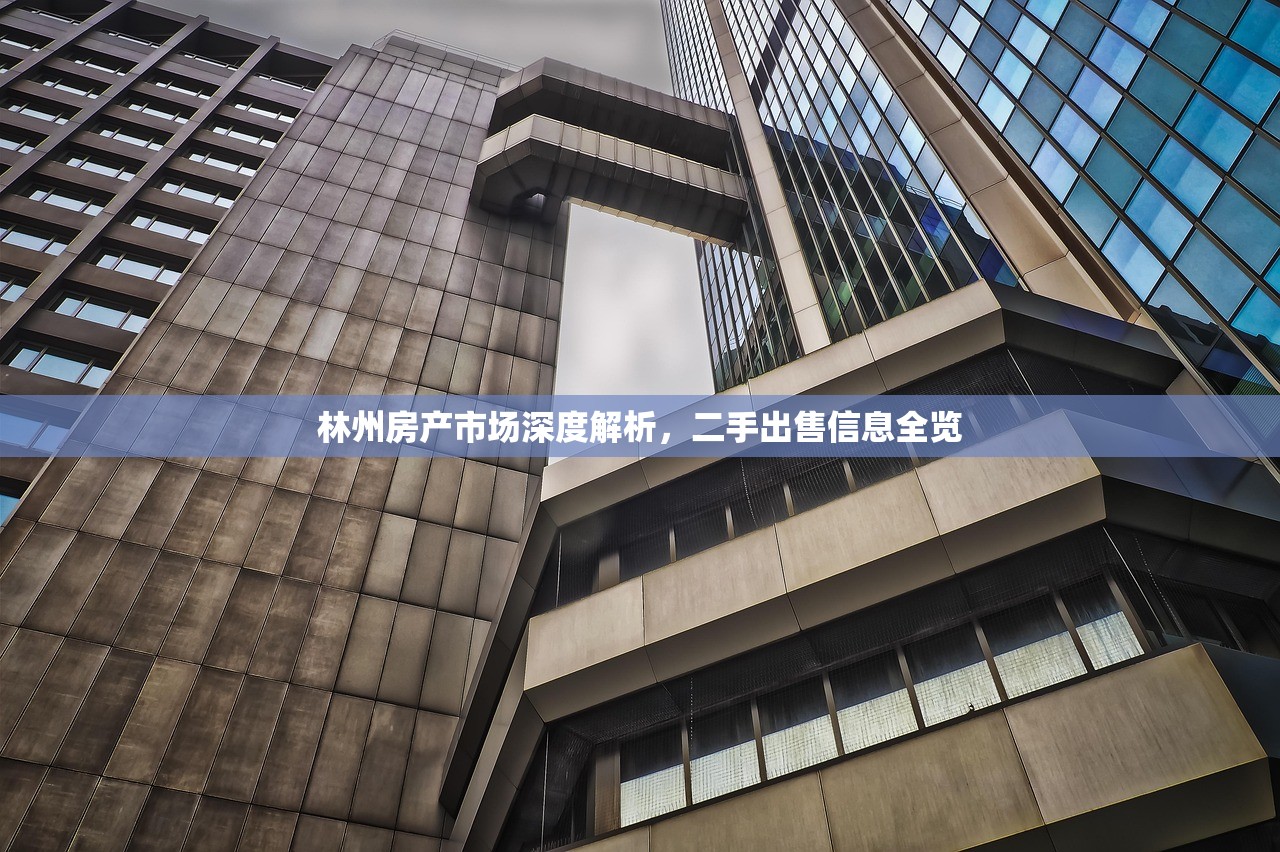 林州房产市场深度解析，二手出售信息全览