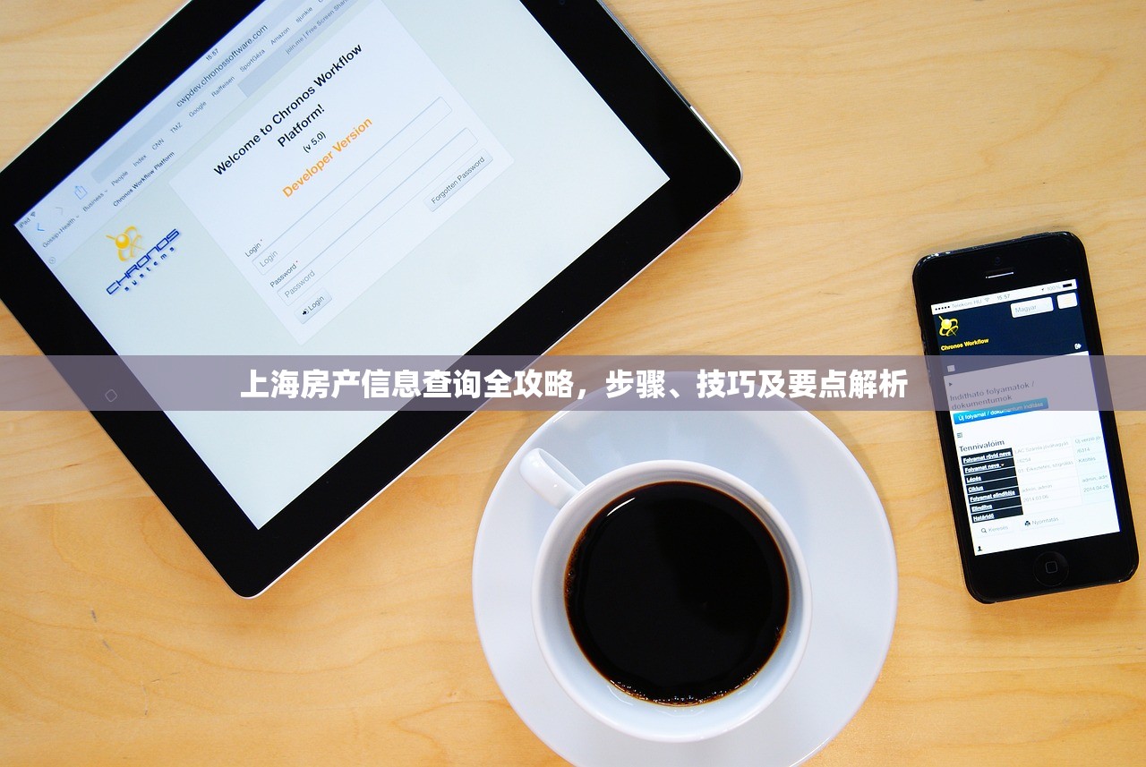 上海房产信息查询全攻略，步骤、技巧及要点解析