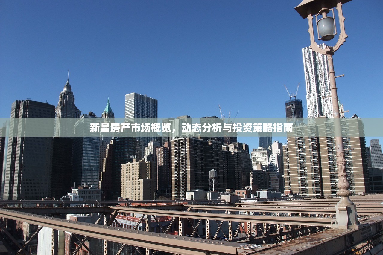 新昌房产市场概览，动态分析与投资策略指南