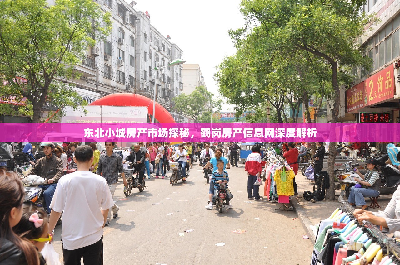 东北小城房产市场探秘，鹤岗房产信息网深度解析
