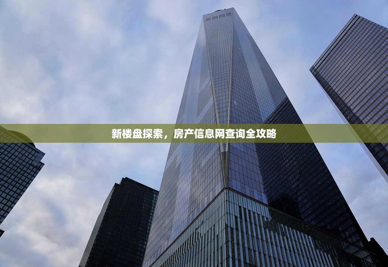 新楼盘探索，房产信息网查询全攻略