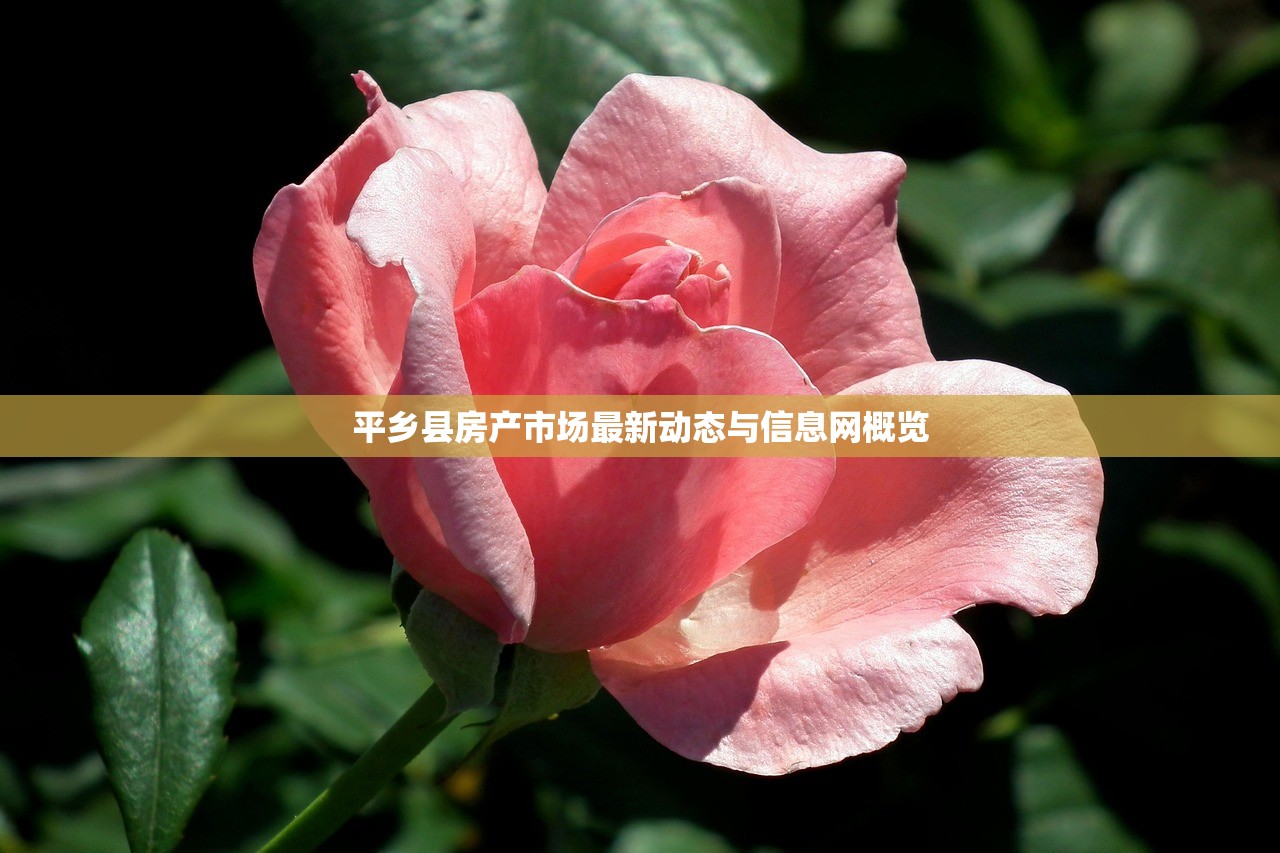 一站式房产信息服务，丰溪房产信息网官网探索