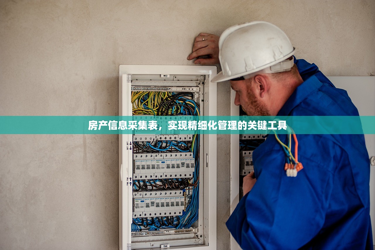 房产信息采集表，实现精细化管理的关键工具