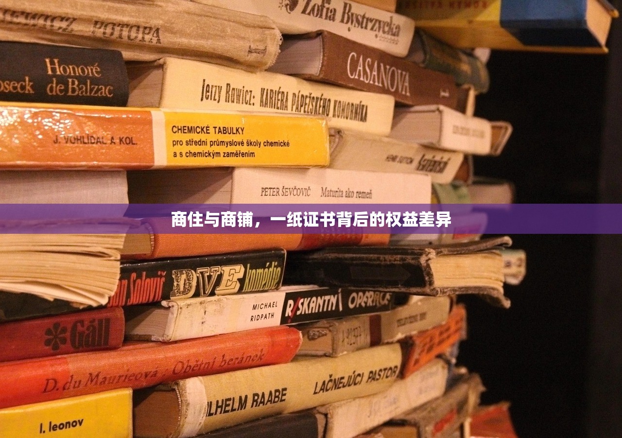 寇安歌 第2页