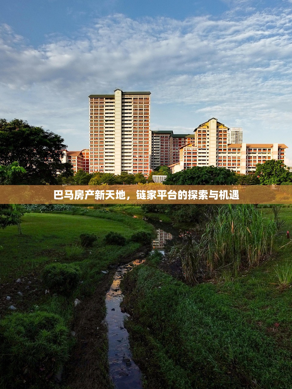 巴马房产新天地，链家平台的探索与机遇