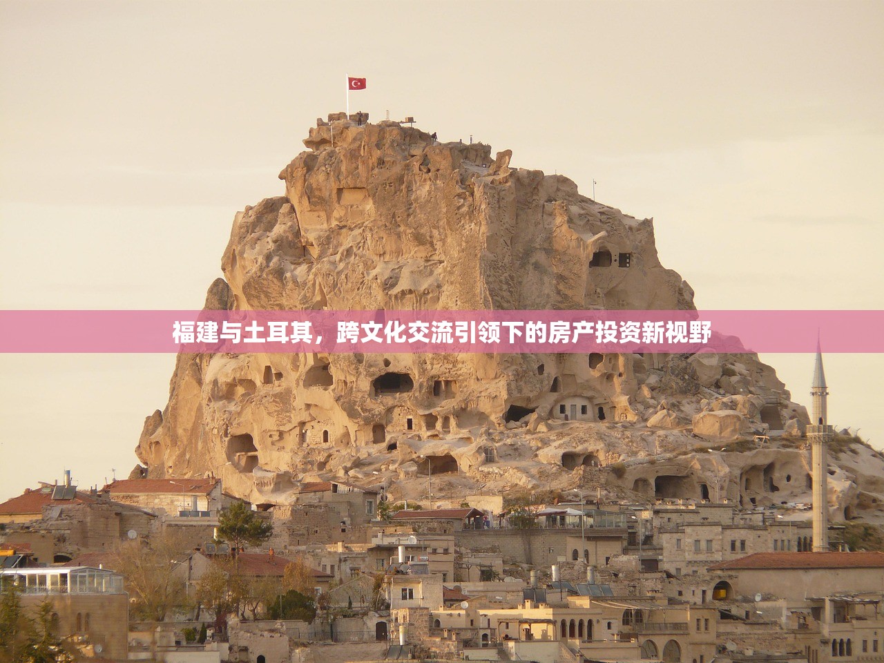 武星华