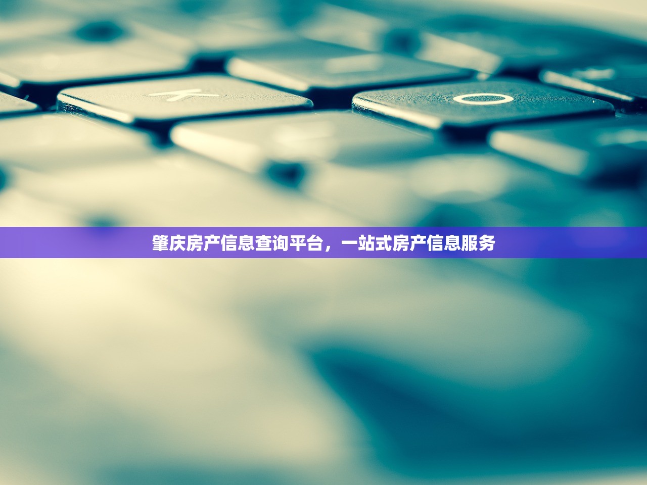 肇庆房产信息查询平台，一站式房产信息服务