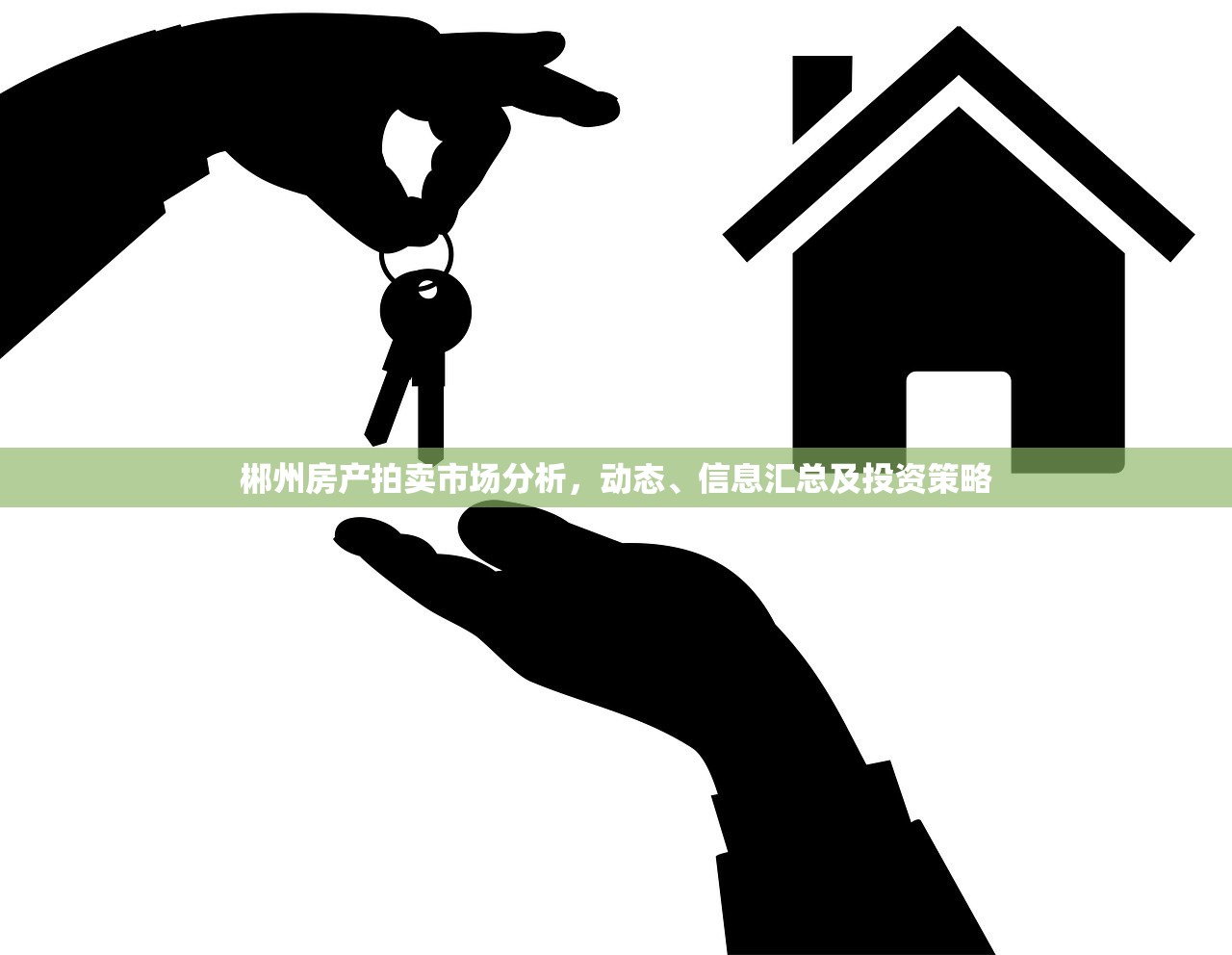 郴州房产拍卖市场分析，动态、信息汇总及投资策略