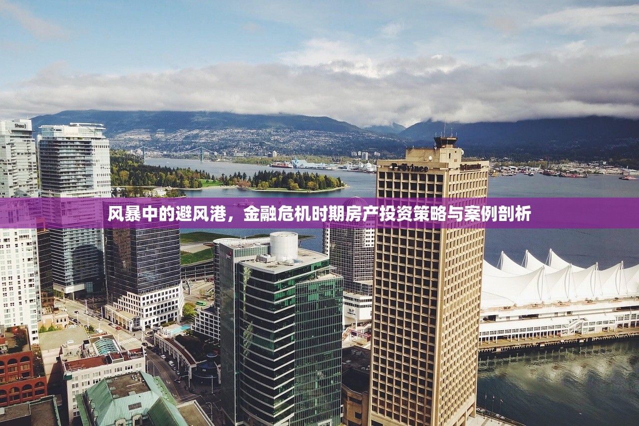 风暴中的避风港，金融危机时期房产投资策略与案例剖析