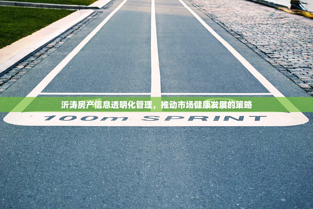 沂涛房产信息透明化管理，推动市场健康发展的策略