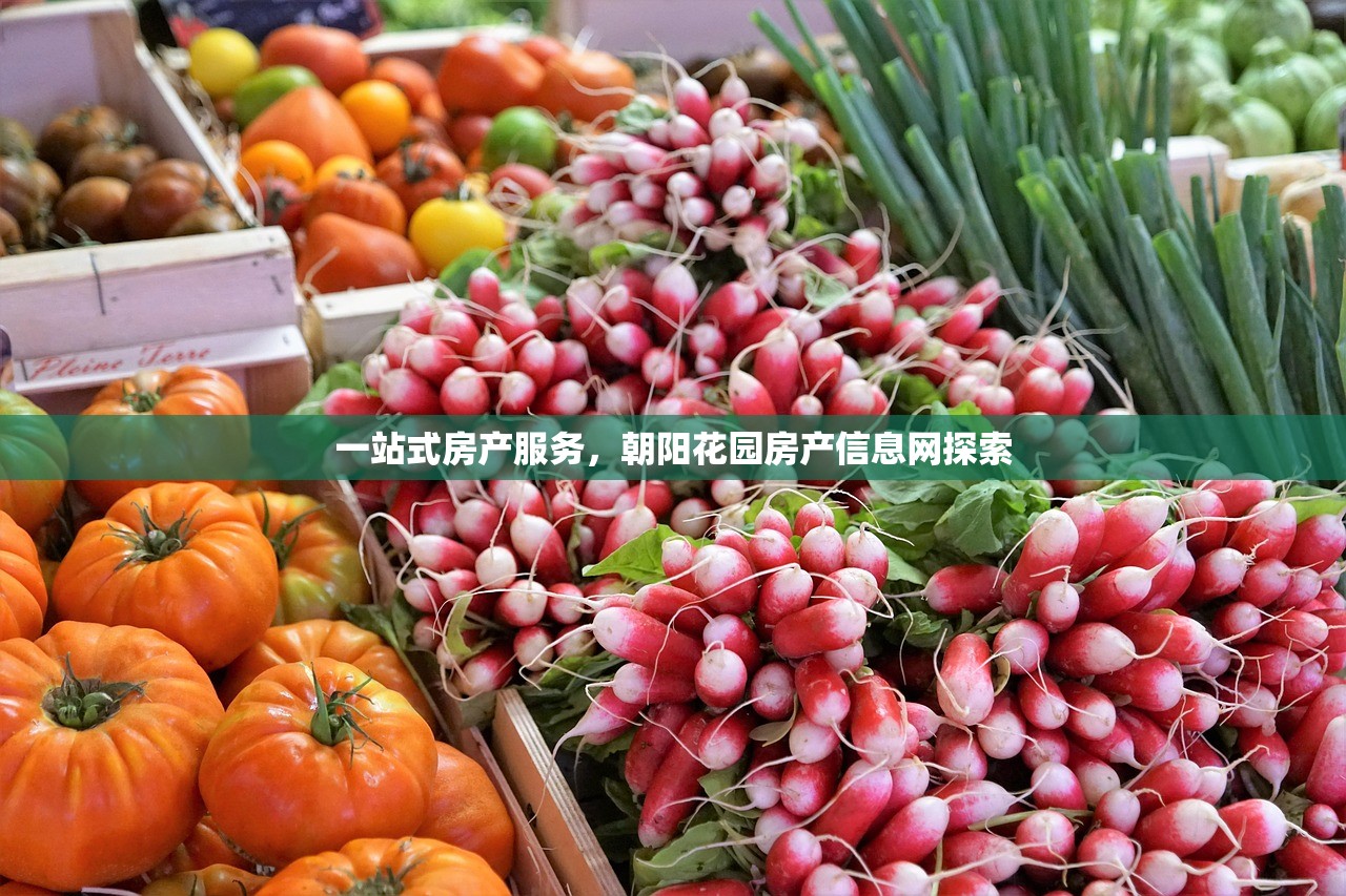 一站式房产服务，朝阳花园房产信息网探索