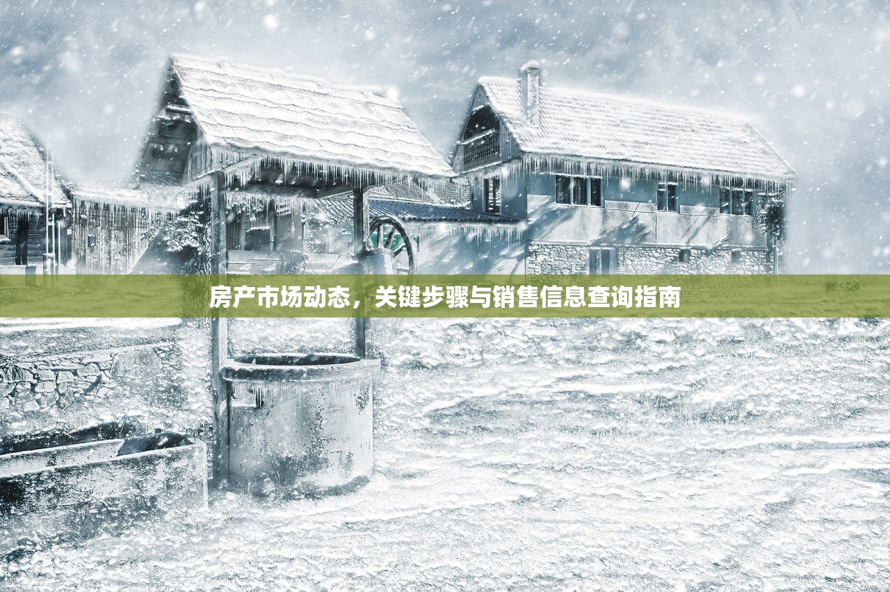 房产市场动态，关键步骤与销售信息查询指南