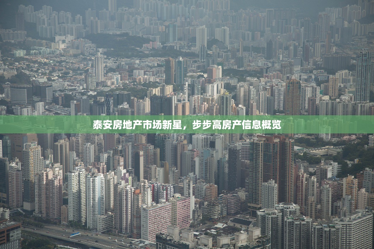 泰安房地产市场新星，步步高房产信息概览