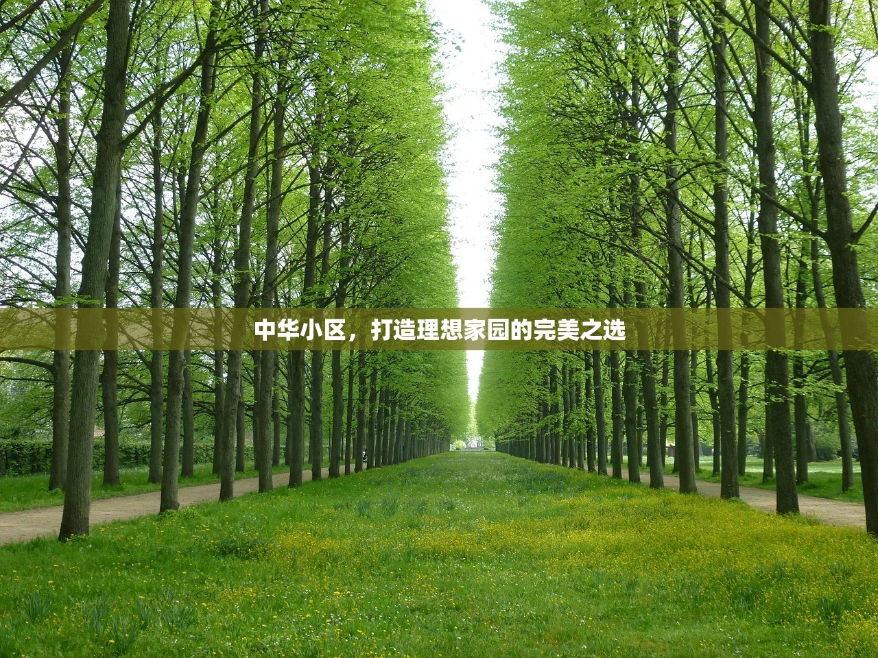 中华小区，打造理想家园的完美之选